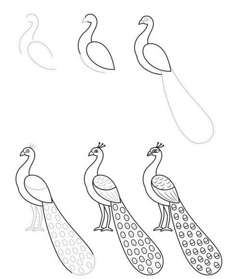 Peacock Drawing Easy Step By Step, Peacock Line Art, Cute Peacock Drawing, Peacock Painting Easy, Peacock Drawing Simple, Kids Drawing Ideas, Beginner Drawing Lessons, Peacock Drawing, Drawing Scenery