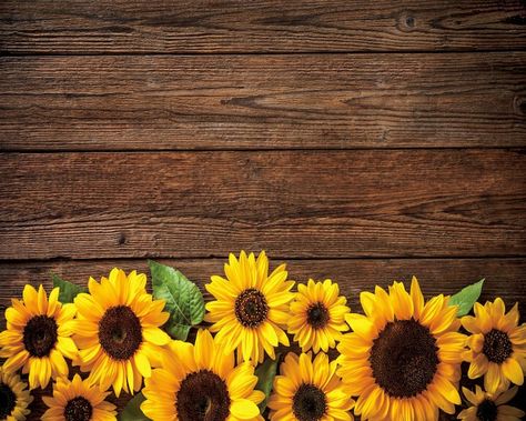 Wooden Board Flower Backdrop Sunflower Backdrops Backgrounds | Etsy Backdrop Butterfly, Background Photo Studio, Baby Backdrop, Black Wall Decor, Sunflowers Background, Birthday Party Background, Woods Photography, Vinyl Backdrops, Party Photography