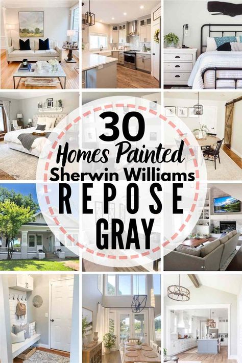 Silver Strand Paint, Sherwin Williams Silver, Repose Gray Paint, Sherwin Williams Repose Gray, Sw Repose Gray, Shades Of Grey Paint, Mindful Gray Sherwin Williams, Best Gray Paint, Repose Gray Sherwin Williams