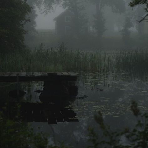 Dark Foggy Forest Aesthetic, Wild Aesthetic Dark, Dark And Dreamy Aesthetic, Dark Pond Aesthetic, Dark Meadow Aesthetic, Dark Swamp Aesthetic, Haunted Woods Aesthetic, Anemoiacore Aesthetic, Dark Forest Core