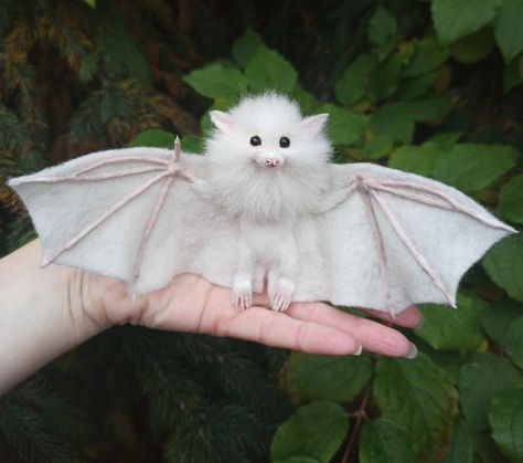 White Bat/gothic Bat/halloween/flying | Etsy Fox Bat, Vampire Bat, Gothic Gifts, Miniature Dogs, Cute Bat, Dog Valentines, Dog Sculpture, Maltese Dogs, Halloween Bats