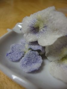 candied wild flowers Wild Flower Desserts, Edible Flowers For Tea, Lilac Flower Recipes, Candied Violets Edible Flowers, Lilac Recipes Edible Flowers, Vegan Wedding Cake, Edible Bouquets, Vegan Wedding, Diy Candy