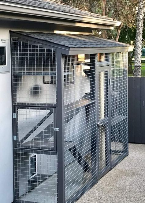 Cat House Design, Pet Decorations, Cat House Outdoor, Animal Furniture, Catio Ideas, Diy Cat Enclosure, Bird Room, Ideas For Cats, Katt Grejer