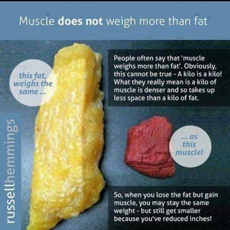 Fat Vs Muscle, Fitness Memes, Fitness Logo, Healthy Eating Recipes, Healthy Tips, Healthy Weight, Get Healthy, Fun Workouts, Fitness Tips