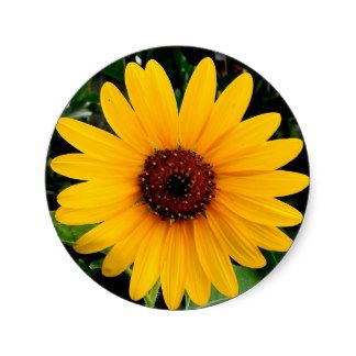 Stickers Sunflower, Sunflower Sticker, Pop Socket, Sticker Designs, Decorated Water Bottles, Baby Outfit, Sticker Labels, Sticker Design, Water Bottles