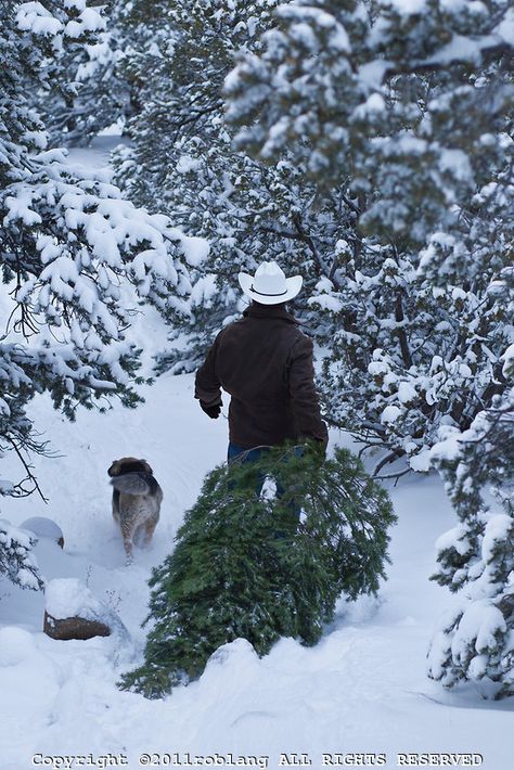 Fresh Cut Christmas Trees, Cowboy Christmas, Winter Beauty, Winter Wonder, Noel Christmas, Fresh Cut, Country Christmas, The Ranch, Christmas Joy