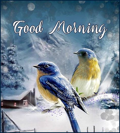 Birds In The Winter Morning birds winter morning winter quotes beautiful good morning quotes Winter Love Quotes, Good Morning Winter Images, Good Morning Couple, Good Morning Wishes Friends, Good Morning Romantic, Good Morning Winter, Morning Winter, Good Morning Beautiful Pictures, Cute Good Morning Quotes