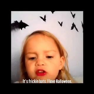 bats vine, i frickin love bats its frickin bats, i love halloween Frickin Bats, I Love Halloween, Halloween Gif, Something Wicked, Love Halloween, I Love My Friends, All Smiles, Spotify Playlist, Autumn Inspiration