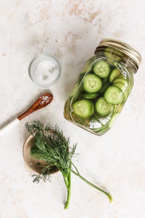 How to Make Apple Cider Vinegar Cucumber Pickles with Dill - Lindsay Pleskot, RD Recipe With Apple Cider, Apple Cidar Vinegar, Recipe With Apple, Pickled Apples, Make Apple Cider, Cucumber Pickles, Pickled Vegetables Recipe, Make Apple Cider Vinegar, Vinegar Cucumbers