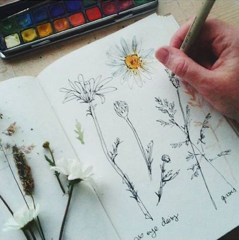 Hobby Aesthetic, Drawing Hobby, Botanical Sketchbook, Hufflepuff Aesthetic, Nature Sketch, Hobbies To Try, Drawing Flowers, Samana, Nature Drawing