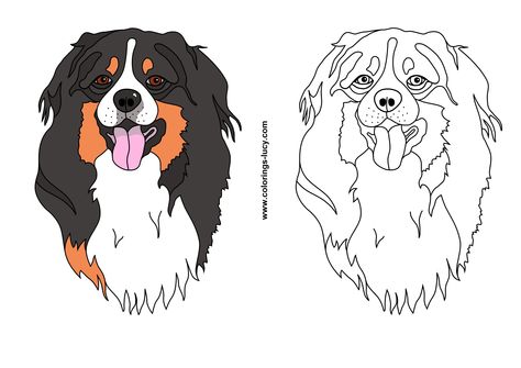 Bernese mountain dog Burmese Mountain Dogs, Dog Themed Birthday Party, Dog Coloring Page, Cartoon Tattoos, Mountain Dog, Bernese Mountain, Bernese Mountain Dog, Dog Themed, Cartoon Dog