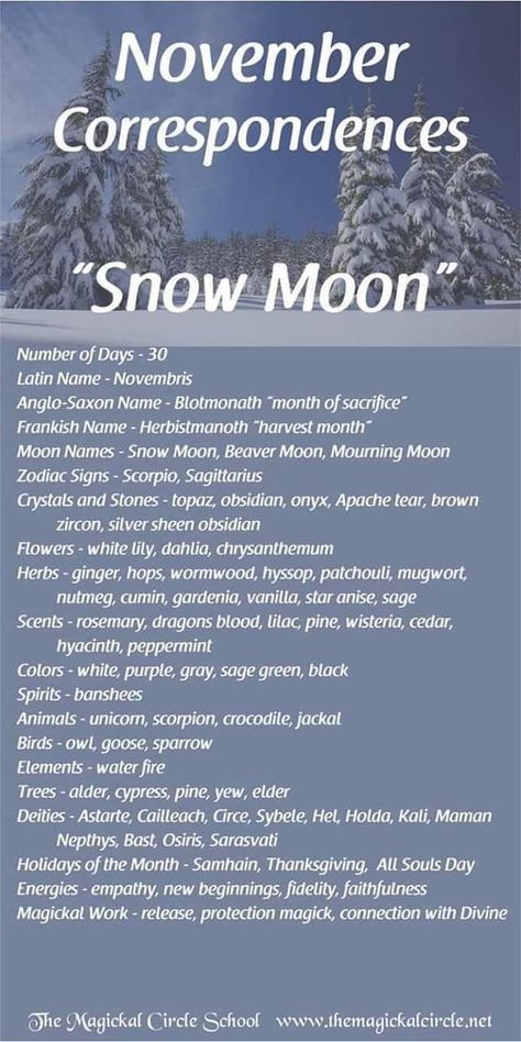 Monthly Correspondences, Full Moon Names, Lunar Witch, Moon Zodiac, Snow Moon, Moon Meaning, Moon Names, Witchy Tips, Wiccan Crafts