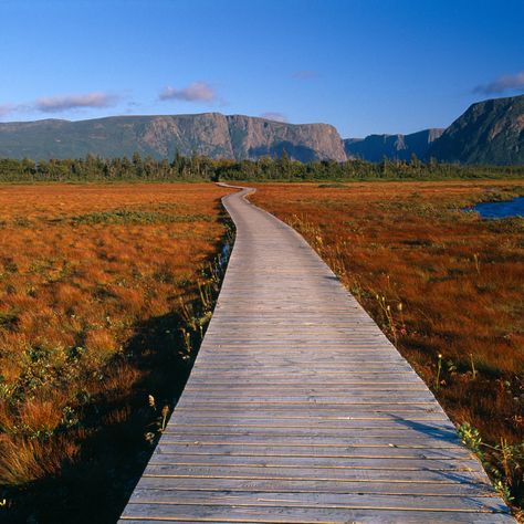 Canada - Newfoundland & Labrador - The Tablelands, Gros Morne National Park Gros Morne National Park, Gros Morne, Newfoundland Canada, Canada Travel Guide, Beyond The Sea, Seaside Village, Newfoundland And Labrador, Coastal Landscape, Banff National Park