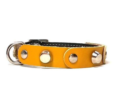 Designer Leather Cat Collar with Safety Elastic - Fancy Studds with Yellow Brown Leather *** Click image to read more details. #CatCollarsHarnessesandLeads Cat Collar, Silver Colour, Yellow And Brown, Leather Design, Silver Color, Brown Leather, Elastic, Collar, The Originals