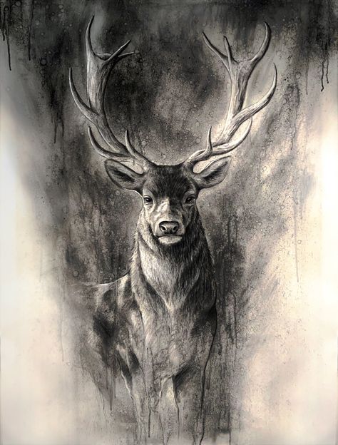 Charcole Drawings Charcoal Artists, Deer Charcoal Drawing, Charcoal Wildlife Art, Charcoal Art Animals, Charcoal Tattoo, Charcole Sketch, Charcoal Sketches Realistic, Greyscale Painting, Sketch Painting Pencil