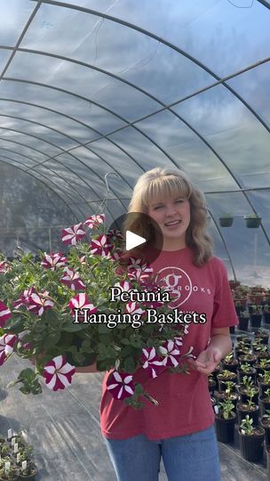 20K views · 2.5K reactions | Petunia hanging baskets are a spring staple but can sometimes be a little tricky to keep going 🌸 follow these tips for a thriving basket! 

1. Prune as needed. Pruning encourages more blooms, bushier stalk, and a healthier plant. As the plant gets leggy, prune back 1/3 to 1/2 of the plant (you can do this every couple of weeks) This will help with new growth and better shaping all season long 🌸 

2. Dead head often. This will make sure your plant doesn’t go to seed and stop flowering.  Once an annual plant has produced several seeds it considers its job to be done. To stop this process, be sure to pinch dead blooms back behind the seed head of the flower. 

3. Fertilize every two weeks. We recommend Soil Diva or Espoma Bloom 

4. Check your hanging baskets fo Petunia Hanging Baskets, Spring Staples, Beautiful Outdoor Spaces, Annual Plants, New Growth, Healthy Plants, Ponds, Petunias, Hanging Baskets