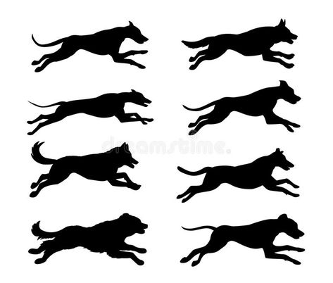 Dogs Silhouette, Running Drawing, Running Illustration, Running Tattoo, Dog Outline, Dog Anatomy, Dog Sketch, Popular Dog Breeds, Dog Logo