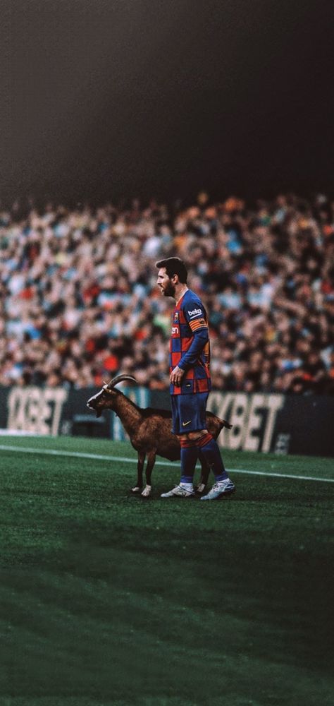 Goat Leo Messi, Aesthetic Messi Wallpaper, Messi Goat Wallpaper, Messi Aesthetic Wallpaper, Leo Messi Wallpapers 4k, Messi Wallpaper Full Hd 4k, Messi God, Goat Wallpapers, Messi Hd