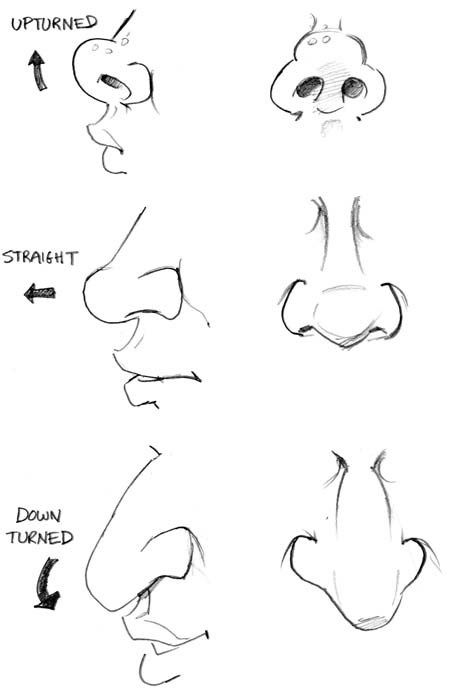 This series of “How to Draw Caricatures” tutorials are a just a small taste of a larger and much more in-depth book I wrote called The Mad Art of Caricature! The book is 175 full-color … How To Draw Caricatures, How To Draw Nose, Draw Nose, Cartoon Noses, Draw Caricatures, Caricature Tutorial, Animation Character Drawings, رسم كاريكاتير, Art Du Croquis