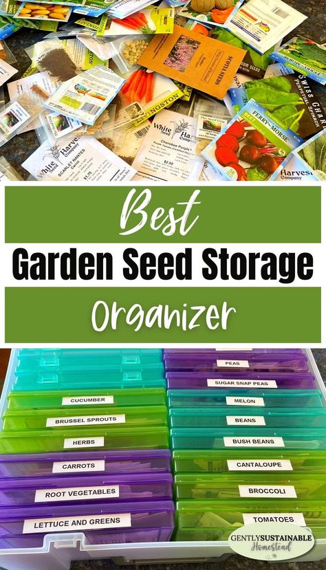 Seed Container Ideas, Organizing Gardening Supplies, Garden Seed Organizer, Seed Storage Organization, Seed Organization Ideas, Seed Storage Ideas, Seed Organizer, How To Store Seeds, Storing Seeds