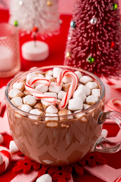 Hot Chocolate Aesthetic, Candy Cane Game, Chocolate Aesthetic, Gourmet Hot Chocolate, Peppermint Recipes, Classic Hot Chocolate, Winter Drink, Frozen Hot Chocolate, Peppermint Hot Chocolate