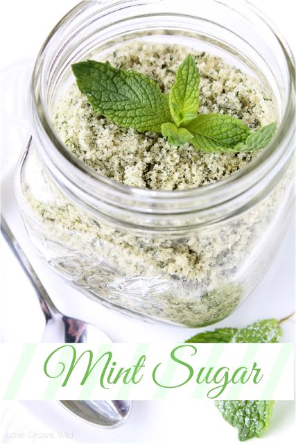 Mint Sugar. You need only two ingredients to make this fresh and fragrant Mint Sugar! It is perfect to sprinkle on top of fresh fruit, rim cocktail glasses, or stir into tea or lemonade. No matter how you use it, you will love the refreshing minty sweetness the Mint Sugar adds to your favorite food and drinks! ☀CQ #summer #recipes Mint Sugar, Infused Sugar, Flavored Salts, Mint Recipes, Herb Recipes, Flavored Sugar, Homemade Spices, Garden Recipes, Cocktail Glasses