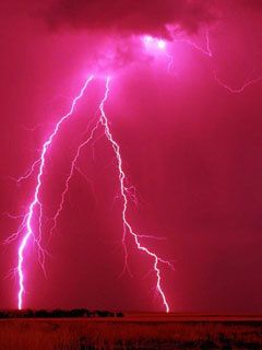 Pink Lightning Lightning Photography, Red Lightning, Wallpaper Sky, Lightning Strike, Wild Weather, Lightning Storm, Lightning Strikes, Red Sky, Tickled Pink