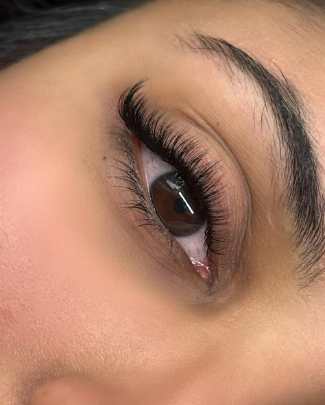 Classics Lashes Extensions, Open Cat Eye Lash Extensions, Classic Lashes Cat Eye, Cat Eye Lash Extensions Natural, Natural Lash Extensions Cat Eye, Cat Eye Classic Lash Extensions, Lashes Extensions Cat Eye, Natural Cat Eye Lash Extensions, Classic Cat Eye Lash Extensions