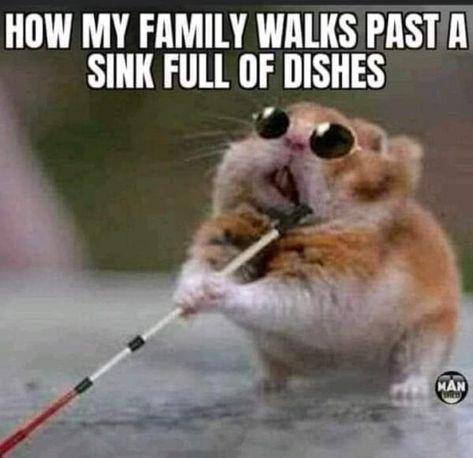 Sink Full Of Dishes, Funny Thoughts, Funny Cartoon Quotes, Sarcastic Quotes Funny, Twisted Humor, Work Humor, Sarcastic Quotes, Funny Cartoons, Funny Signs