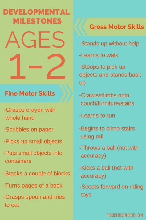 Developmetnal Milestones ages 1-2.  A chart for reference from pediatric physical and occupational therapists at www.theinspiredtreehouse.com Development Milestones, Toddler Schedule, Toddler Classroom, Developmental Milestones, Early Childhood Development, Toddler Development, Childhood Development, Physical Development, Homeschool Preschool