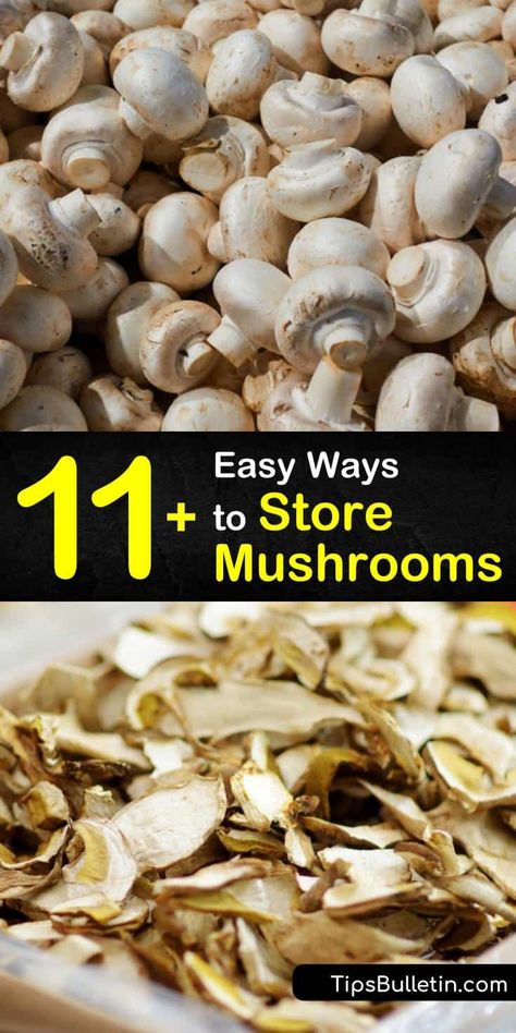 How To Freeze Mushrooms How To Store, How To Store Fresh Mushrooms, How To Preserve Mushrooms, Freeze Mushrooms How To, Freezing Fresh Mushrooms, Freeze Dried Mushrooms, Storing Mushrooms In Fridge, How To Freeze Fresh Mushrooms, Store Mushrooms In Fridge