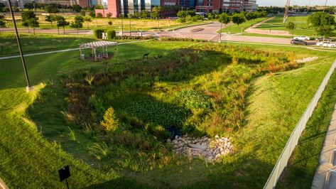 Detention Pond, Retention Pond, Md Anderson, Stormwater Management, Wetland Park, Campus Design, Pond Design, Water Management, Rain Garden