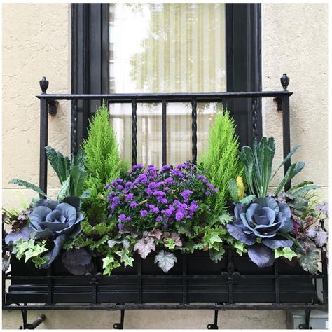 Window Garden Ideas, Winter Window Boxes, Fall Window Boxes, Fall Windows, Fall Container Gardens, Window Garden, Winter Planter, Fall Containers, Window Box Flowers