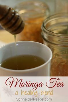 Moringa Tea Benefits For Women, Moringa Tea Recipe, Soursop Recipes, Moringa Tea Benefits, Medicinal Teas, Balance Food, Moringa Recipes, Moringa Tea, Moringa Benefits