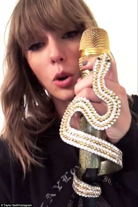 Sly jab: Taylor Swift continued her association with the serpent as she took to her Instag... Taylor Swift Makeup, Taylor Songs, Music Accessories, Taylor Swift Tour Outfits, Swift Tour, Taylor Swift 13, Microphones, Chris Brown, Celebrity Art