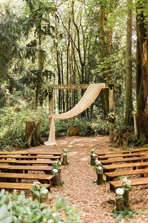 Fun Cheap Wedding Ideas, Twin Willow Gardens Wedding, Dnf Wedding, Willow Tree Wedding Ceremony, Wedding Venue Woods, Weeping Willow Wedding, Wedding In Woods, Weddings In The Woods, Boho Forest Wedding