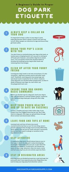 A Beginner's Guide to Proper Dog Park Etiquette infographic  A Beginner's Guide to Proper Dog Park Etiquette infographic Like our Facebook:https://ift.tt/2FAdgt6 #Dog#DogLoversHub Dog Park Design, Kennel Business, Dog Park Etiquette, Dog Park Equipment, Boarding Kennels, Dog Infographic, Play Park, Dog Bedroom, Park Ideas