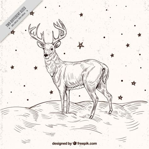 Reindeer sketch background with stars Free Vector Reindeer Sketch, Christmas Raindeer, Reindeer Illustration, Reindeer Drawing, Deer Sketch, Deer Vector, Sketch Background, Deer Drawing, 3d Wall Painting