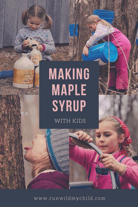 Tapping Trees & Making Maple Syrup with Kids • RUN WILD MY CHILD Maple Sugaring Activities, Maple Syrup Taps, Maple Tapping, Tapping Maple Trees, Maple Sugaring, Homestead Ideas, Nature School, Maple Trees, Educational Activities For Kids