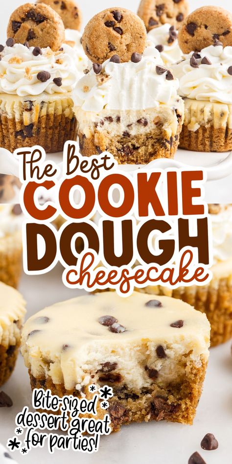 Cookie Dough Cheesecake Bites, Choc Chip Cookie Dough Cheesecake, Cookie Recipes Cheesecake, Cookie Dough Mini Cheesecake, Chocolate Chip Cheesecake Bites, Brownie Cookie Dough Cheesecake, Chocolate Chip Cookie Dough Desserts, Cookie Bottom Cheesecake, Store Bought Cookie Dough Recipes