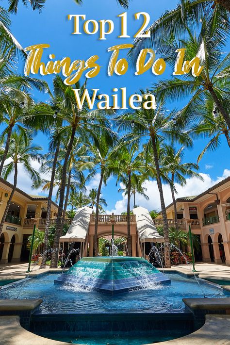 Things To Do In Wailea Maui, South Maui Things To Do, Wailea Maui Things To Do, Wailea Maui Restaurants, Things To Do In Maui Hawaii, Maui Hawaii Things To Do In, Maui Hawaii Honeymoon, Molokini Crater, Hawaii Family Vacation