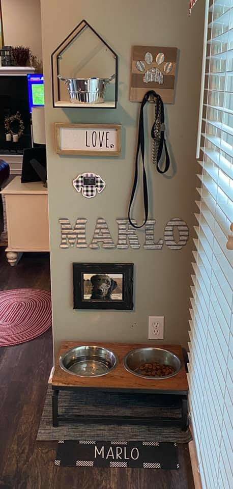 Dog Organizer Ideas, Dog Sunroom Ideas, Dog Room Decor Small Spaces, Corner Dog Food Station, Small Dog Corner Ideas, Dog Home Ideas Indoor, Dog Set Up In Small Apartment, Puppy Station Ideas, Bedroom With Dog Area