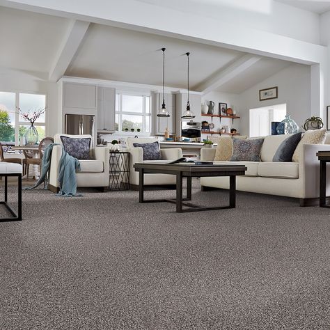 You deserve a life well lived. That’s why Lowe’s is proud to carry STAINMASTER® carpet. Our worry-free flooring solutions mean you can enjoy life instead of stressing about carpet cleaning. Designed to resist stains and durably constructed to resist wear, STAINMASTER carpet offers solutions throughout the house. Add STAINMASTER carpet padding to your carpet installation project for a soft, springy feel and protection for your sub floor. Try out STAINMASTER carpet samples to start your journey. S Stainmaster Carpet, Texture Carpet, A Life Well Lived, Carpet Samples, Carpet Padding, Indoor Carpet, Carpet Installation, Home Carpet, Wall Carpet