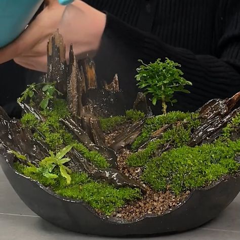 Outstanding nature dioramas with recycled materials! | nature | Outstanding nature dioramas with recycled materials! | By Simple Life Devils Paradise, Diorama Nature, Nature Miniature, Forest Diorama, Diorama Ideas, Nature Projects, Attention To Detail, Amazing Ideas, Driftwood Art