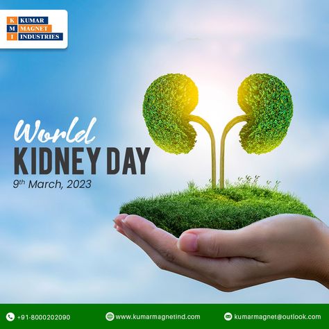 #kidney #kidneydisease #kidneytransplant #kidneyhealth #health #kidneyfailure #kidneystones #kidneys #kidneycancer #kidneydonor #kidneywarrior #kidneydiseaseawareness #kidneystrong #doctor #cancer #medicine #kidneyawareness #transplant #chronickidneydisease #kidneydiet #kidneyproblems World Kidney Day, Basil Herb, Ladies Kurti, Foot Reflexology Massage, Kidney Donor, Menthol Crystals, Ladies Suits, Healthy Kidneys, Kidney Diet