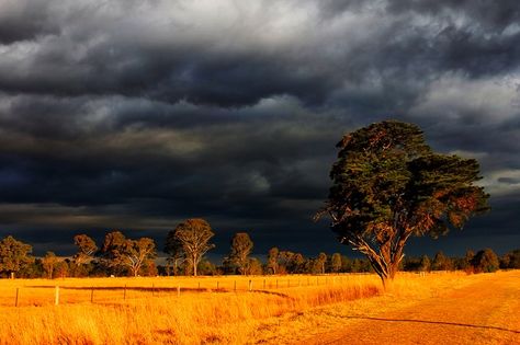 The late afternoon sunlight creates a magnificent contrast  between the great colours of Australian countryside in the foreground and dark stormy clouds that are gathering overhead. - ©Rhys Pope on Flickr Stormy Countryside, Australian Countryside, Stormy Clouds, Australian Desert, Dark & Stormy, Farmhouse Paintings, Dark Summer, Mother Images, Scenery Photos