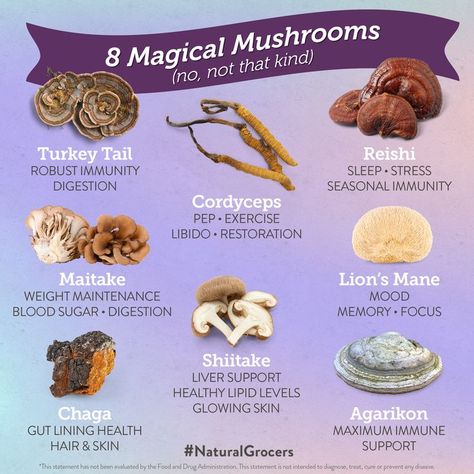 Mushrooms For Brain Health, Mushroom Magical Properties, Changa Mushroom Benefits, Reishi Mushroom Tea Benefits, Mushroom Complex Benefits, Benefits Of Microdosing Mushrooms, Mushrooms For Health, Magic Mushroom Recipe, Cordyceps Benefits