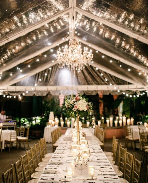 Yadira & Victor had a charming reception in the @brennansnola courtyard. Clear topped tents, festoon string lights and chandeliers are such… Clear Top Tent Wedding, Tent Chandelier, Clear Top Tent, Clear Top, Top Tents, Tent Wedding, String Lights, Chandeliers, Tent