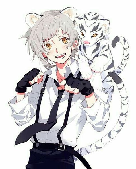 Bungou Stray Dogs Atsushi, Nakajima Atsushi, Stray Cat, White Tiger, Bongou Stray Dogs, Dog Boarding, Stray Dogs Anime, Fanarts Anime, Stray Dogs