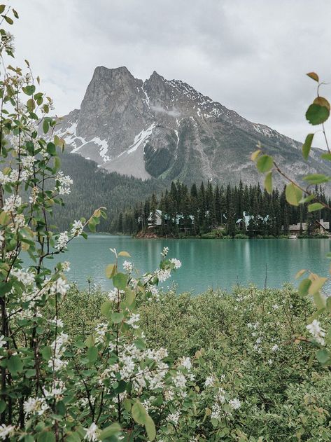 Pin on • our travels • Canadian Scenery, Canadian Nature, Spring Scenery, Canadian Landscape, Canada Trip, Events Place, Nature Spring, Vacation Goals, Emerald Lake